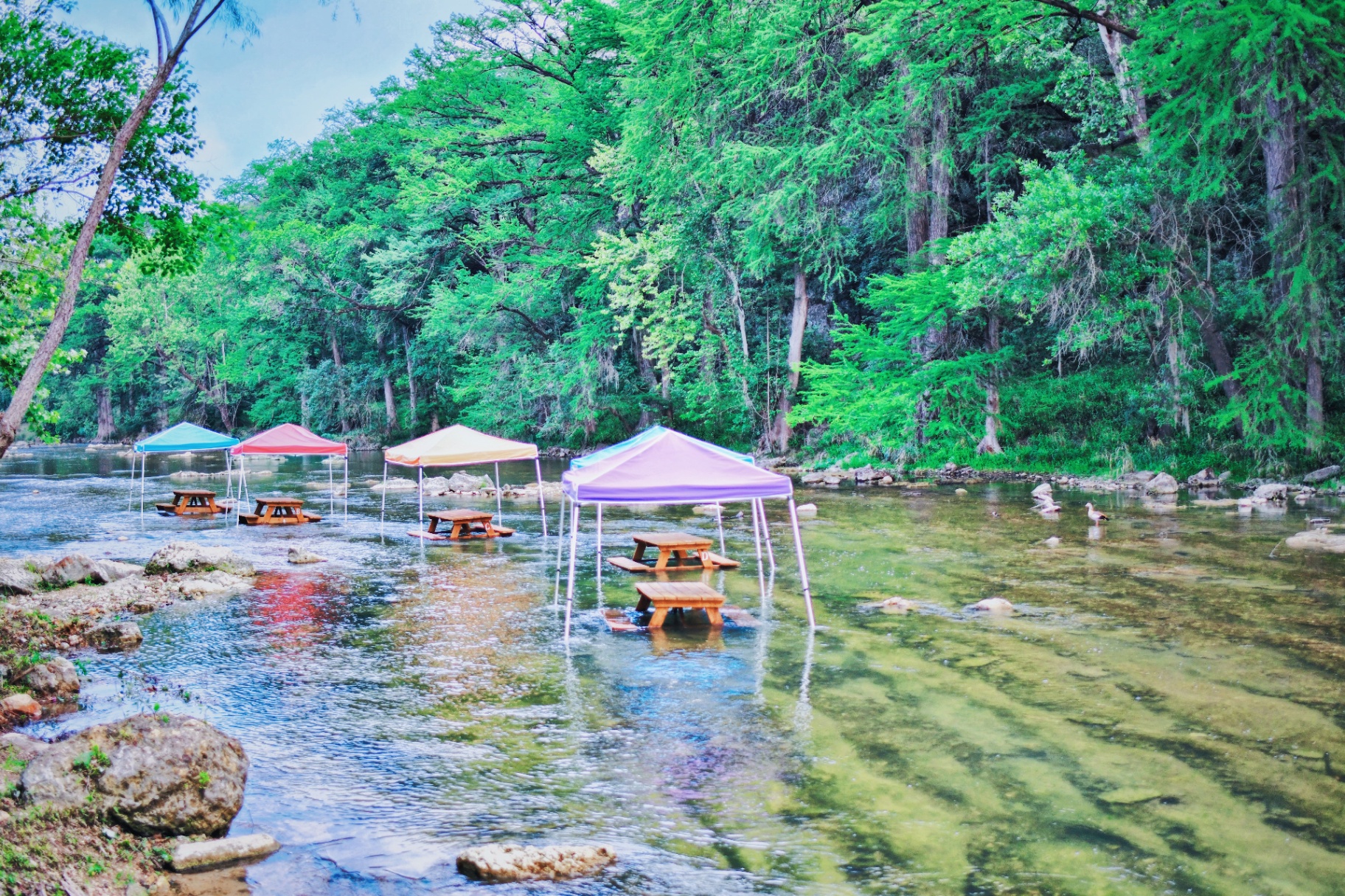 Colorful picnic tents in the river